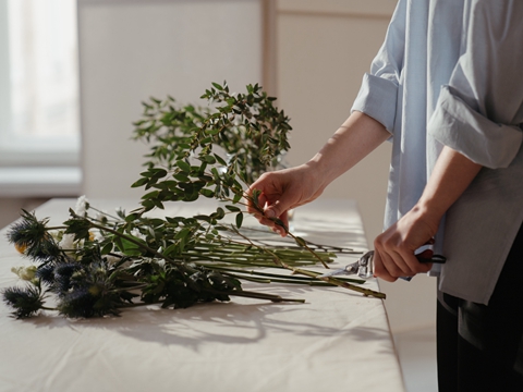 德國商標(biāo)注冊全攻略：從申請價格到代理選擇，一文讀懂所有細(xì)節(jié)