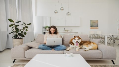 Temu平臺(tái)入駐指南