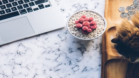 天貓國際服務(wù)商入駐條件與運營資質(zhì)要求