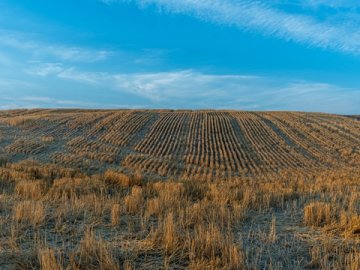 開曼公司稅務(wù)與合規(guī)義務(wù)詳解